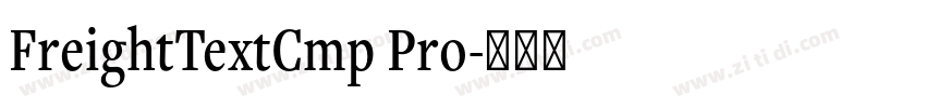 FreightTextCmp Pro字体转换